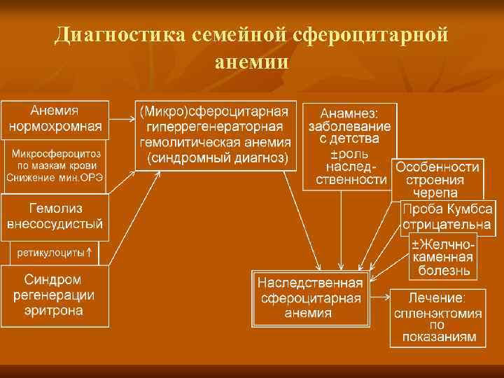Диагностика семейной сфероцитарной анемии 