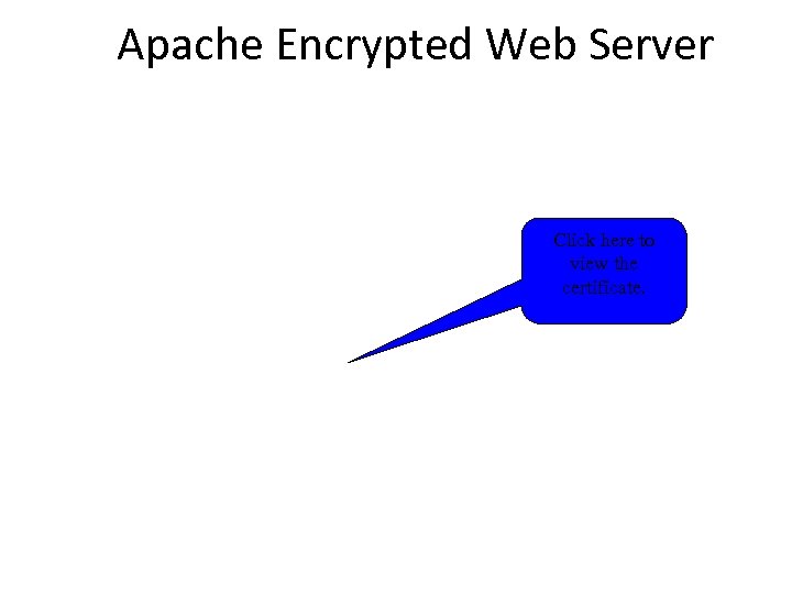 Apache Encrypted Web Server Click here to view the certificate. 