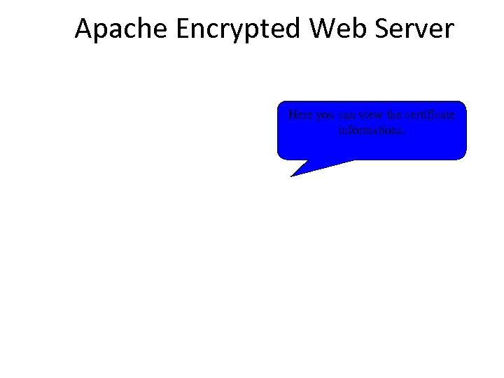 Apache Encrypted Web Server Here you can view the certificate informations. 