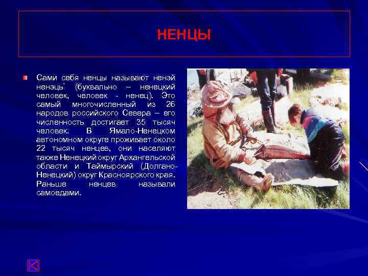 НЕНЦЫ Сами себя ненцы называют ненэй ненэць` (буквально – ненецкий человек, человек - ненец).