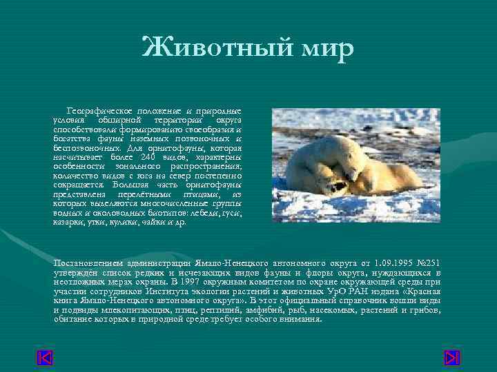 Животный мир Географическое положение и природные условия обширной территории округа способствовали формированию своеобразия и