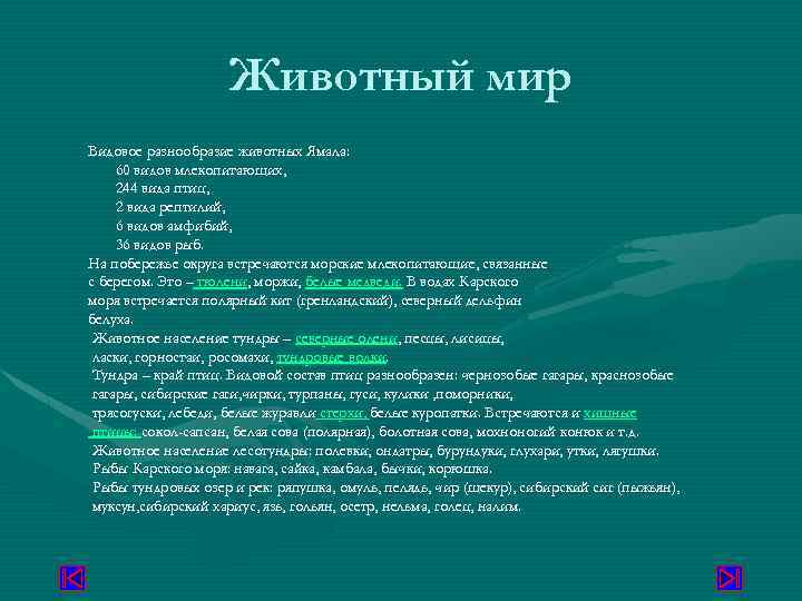Животный мир Видовое разнообразие животных Ямала: 60 видов млекопитающих, 244 вида птиц, 2 вида