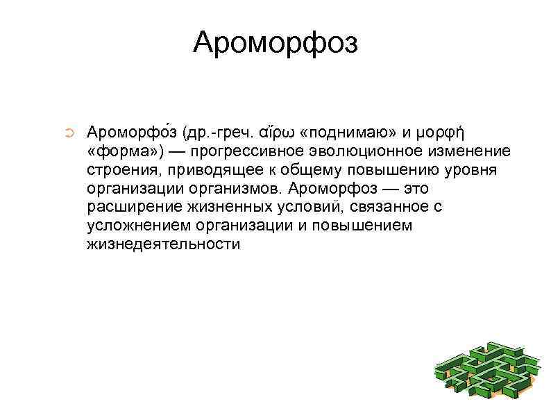 Ароморфоз что это. Ароморфоз. Ароморфоз это в биологии. Ароморфоз это кратко. Крупные ароморфозы.