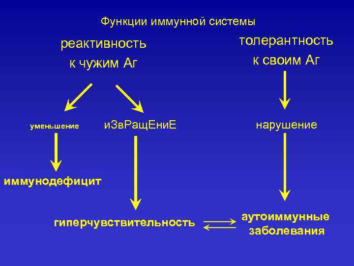 Функции иммунной системы реактивность к чужим Аг уменьшение и. Зв. Ращ. Ени. Е толерантность