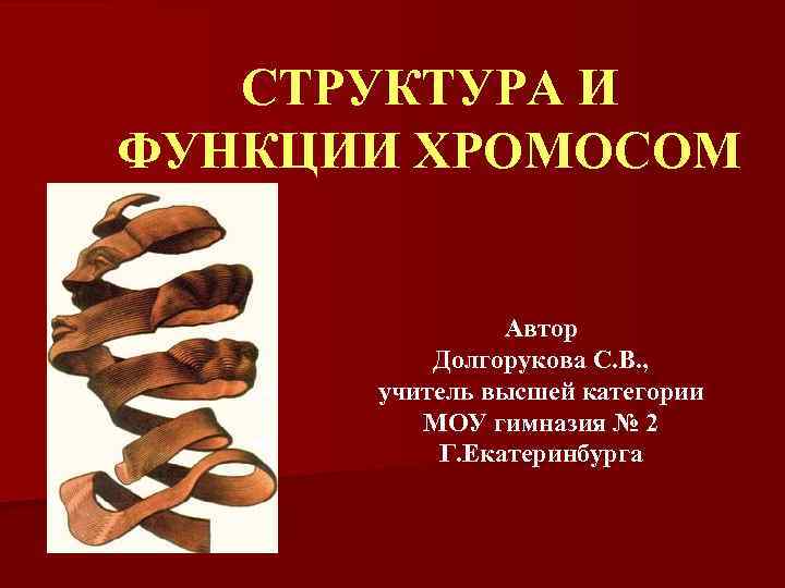 СТРУКТУРА И ФУНКЦИИ ХРОМОСОМ Автор Долгорукова С. В. , учитель высшей категории МОУ гимназия