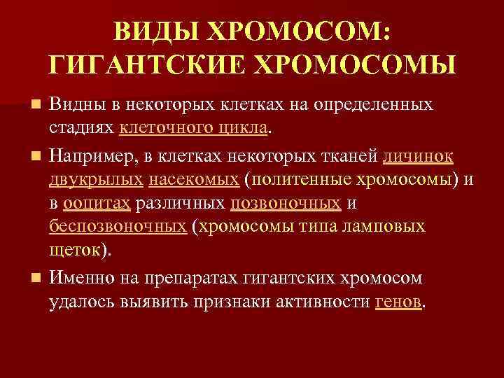 ВИДЫ ХРОМОСОМ: ГИГАНТСКИЕ ХРОМОСОМЫ Видны в некоторых клетках на определенных стадиях клеточного цикла. n