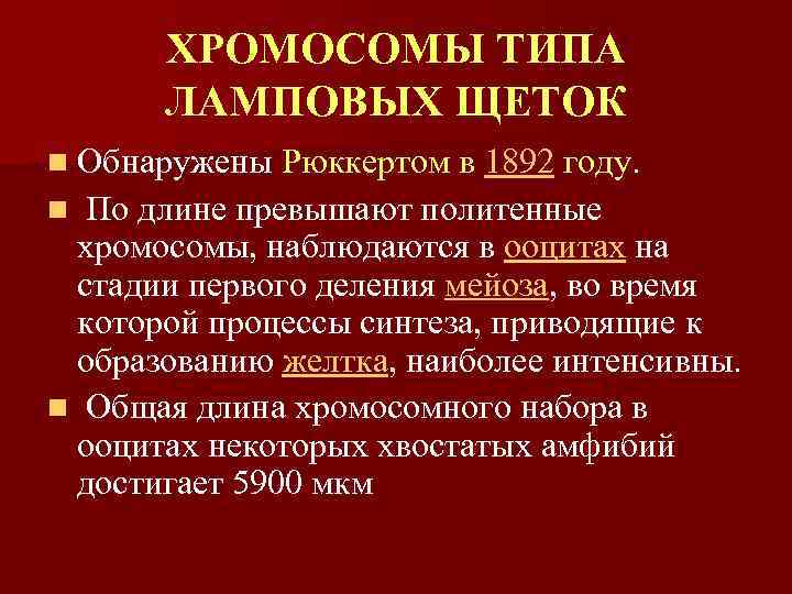 ХРОМОСОМЫ ТИПА ЛАМПОВЫХ ЩЕТОК n Обнаружены Рюккертом в 1892 году. n По длине превышают