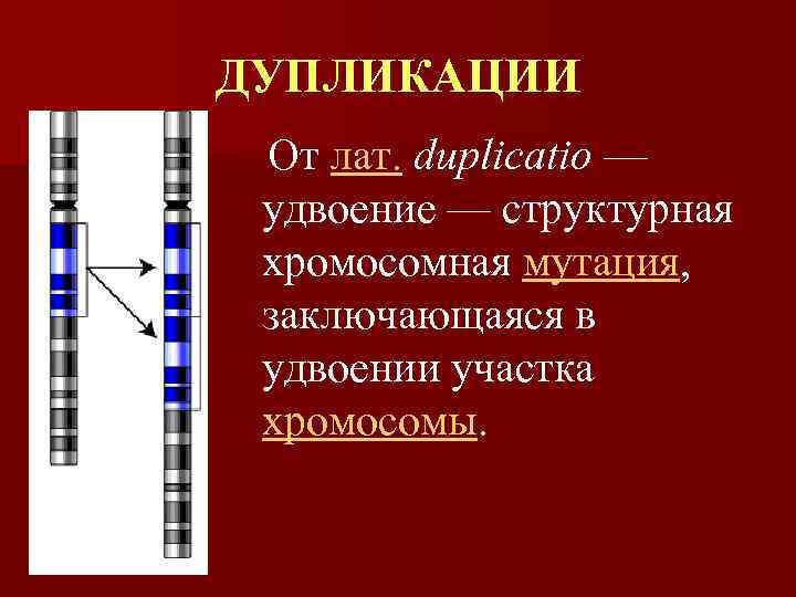 ДУПЛИКАЦИИ От лат. duplicatio — удвоение — структурная хромосомная мутация, заключающаяся в удвоении участка