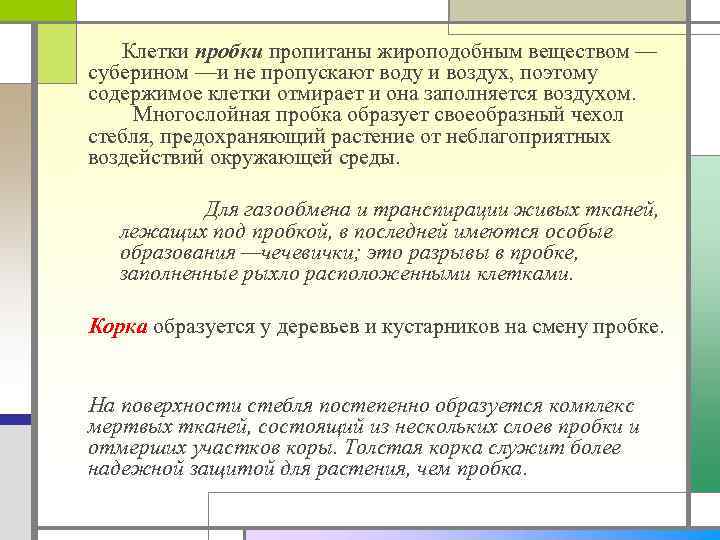  Клетки пробки пропитаны жироподобным веществом — суберином —и не пропускают воду и воздух,