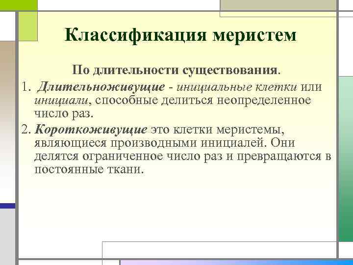 Классификация меристем По длительности существования. 1. Длительноживущие - инициальные клетки или инициали, способные делиться
