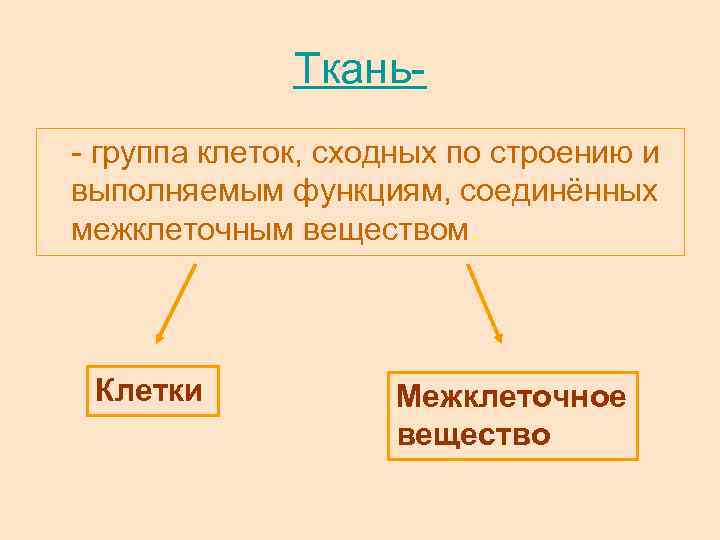 Ткань- группа клеток, сходных по строению и выполняемым функциям, соединённых межклеточным веществом. Клетки Межклеточное