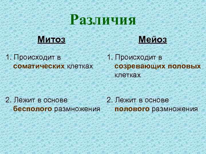 Различия Митоз Мейоз 1. Происходит в соматических клетках 1. Происходит в созревающих половых клетках