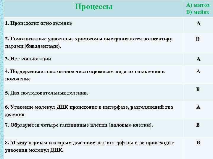 Процессы А) митоз В) мейоз 1. Происходит одно деление А 2. Гомологичные удвоенные хромосомы