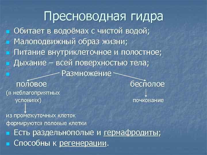 Пресноводная гидра n n n Обитает в водоёмах с чистой водой; Малоподвижный образ жизни;