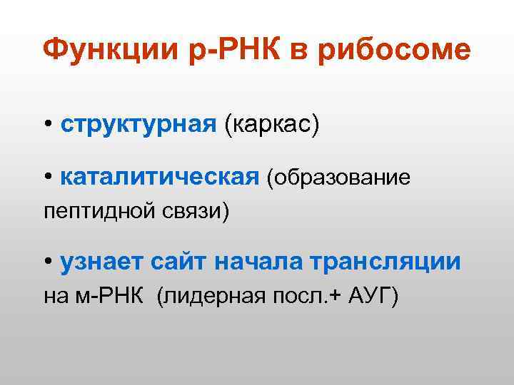 Функции р-РНК в рибосоме • структурная (каркас) • каталитическая (образование пептидной связи) • узнает