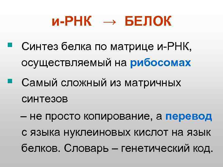 и-РНК → БЕЛОК § Синтез белка по матрице и-РНК, осуществляемый на рибосомах § Самый
