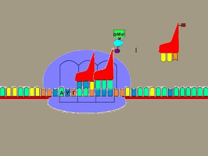 ф. Ме т т А У Г 