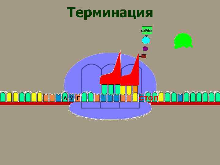 Терминация ф. Ме т А У Г стоп 