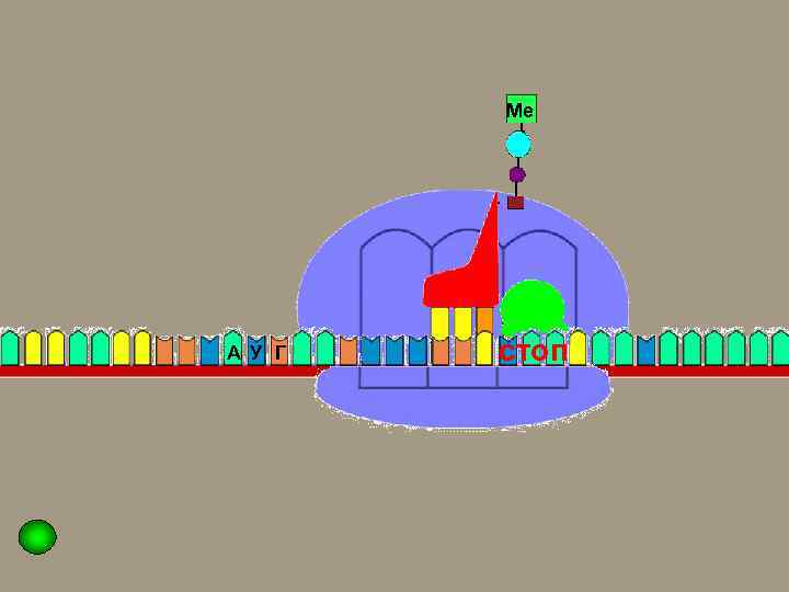 Ме т А У Г стоп 