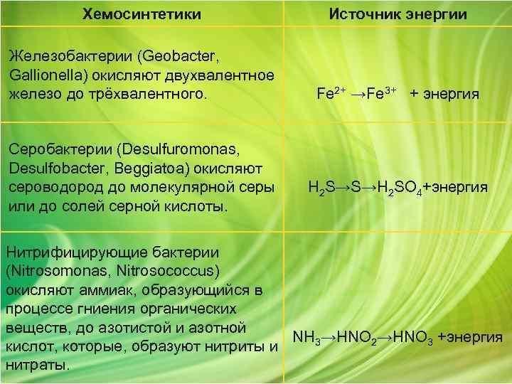Хемосинтетики Источник энергии Железобактерии (Geobacter, Gallionella) окисляют двухвалентное железо до трёхвалентного. Fe 2+ →Fe