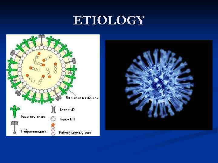 ETIOLOGY 