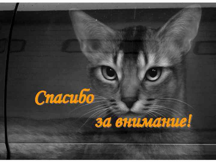 Спасибо за внимание! 