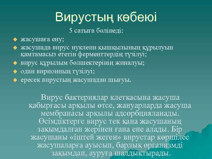 Вирустың көбеюі 5 сатыға бөлінеді: u u u жасушаға ену; жасушада вирус нуклеин қышқылының
