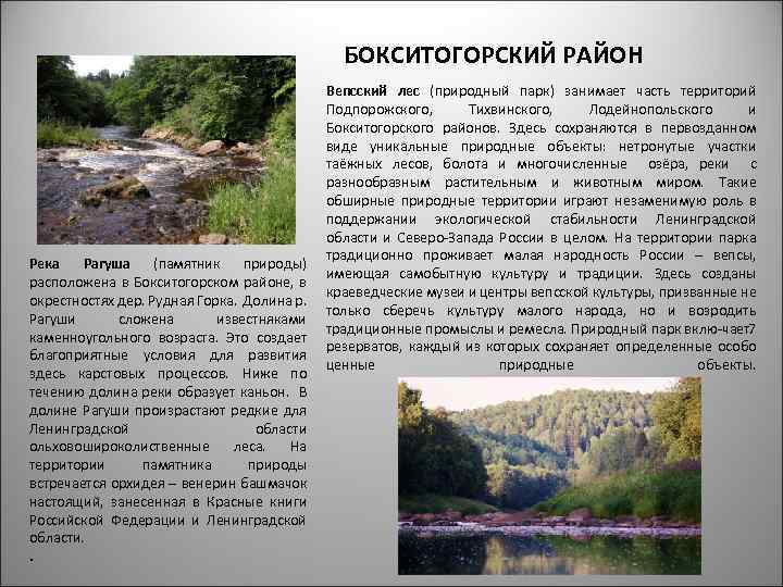 БОКСИТОГОРСКИЙ РАЙОН Река Рагуша (памятник природы) расположена в Бокситогорском районе, в окрестностях дер. Рудная