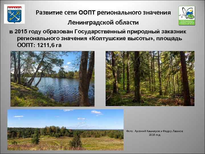 Развитие сети ООПТ регионального значения Ленинградской области в 2015 году образован Государственный природный заказник