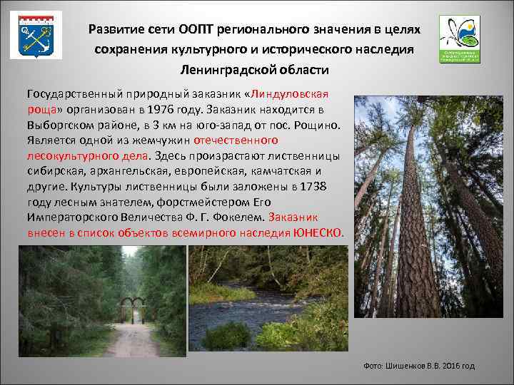 Развитие сети ООПТ регионального значения в целях сохранения культурного и исторического наследия Ленинградской области