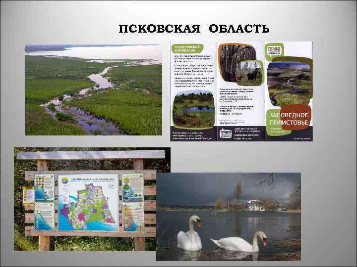 ПСКОВСКАЯ ОБЛАСТЬ 