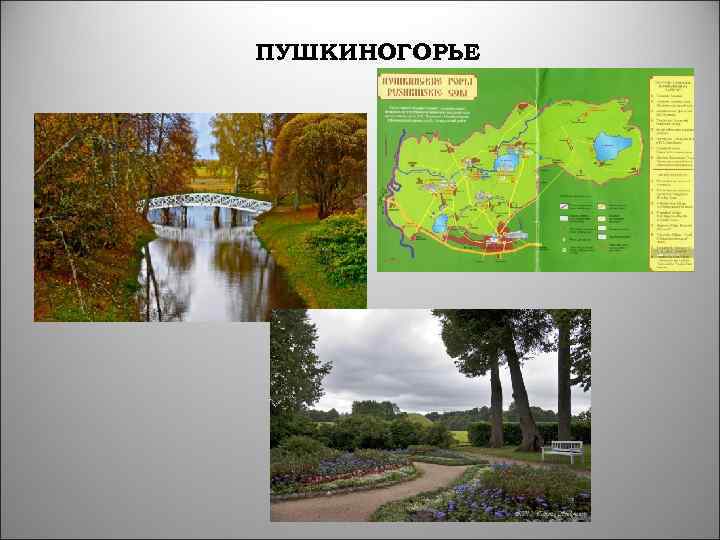 ПУШКИНОГОРЬЕ 