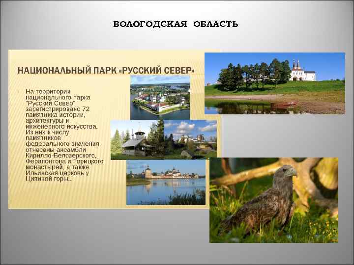 ВОЛОГОДСКАЯ ОБЛАСТЬ 