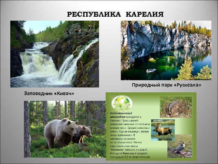 РЕСПУБЛИКА КАРЕЛИЯ Природный парк «Рускеала» Заповедник «Кивач» 