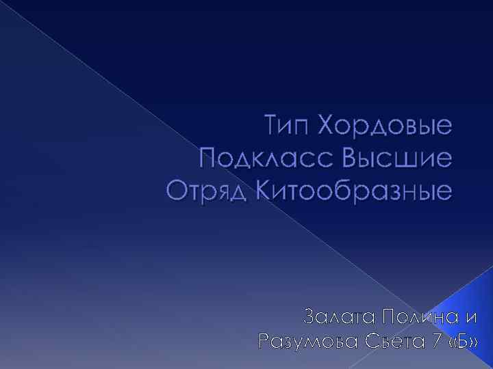 Тип Хордовые Подкласс Высшие Отряд Китообразные Залата Полина и Разумова Света 7 «Б» 