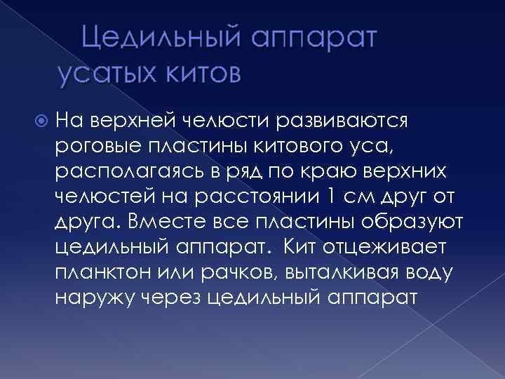 Цедильный аппарат усатых китов На верхней челюсти развиваются роговые пластины китового уса, располагаясь в