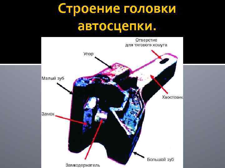Строение головки автосцепки. 