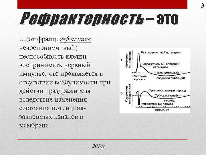 Рефрактерность – это …(от франц. refractaire невосприимчивый) неспособность клетки воспринимать нервный импульс, что проявляется