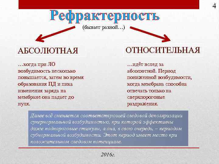 Рефрактерность (бывает разной…) АБСОЛЮТНАЯ …когда при ЛО возбудимость несколько повышается, затем во время образования