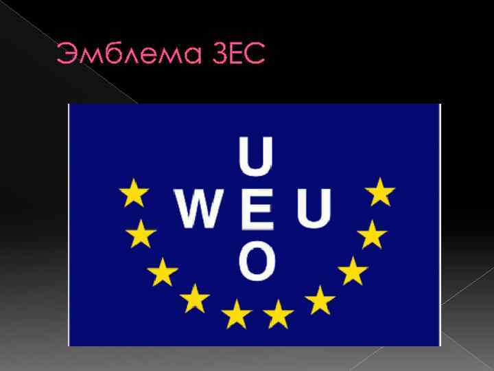 Эмблема ЗЕС 