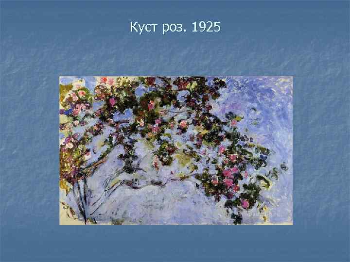 Куст роз. 1925 