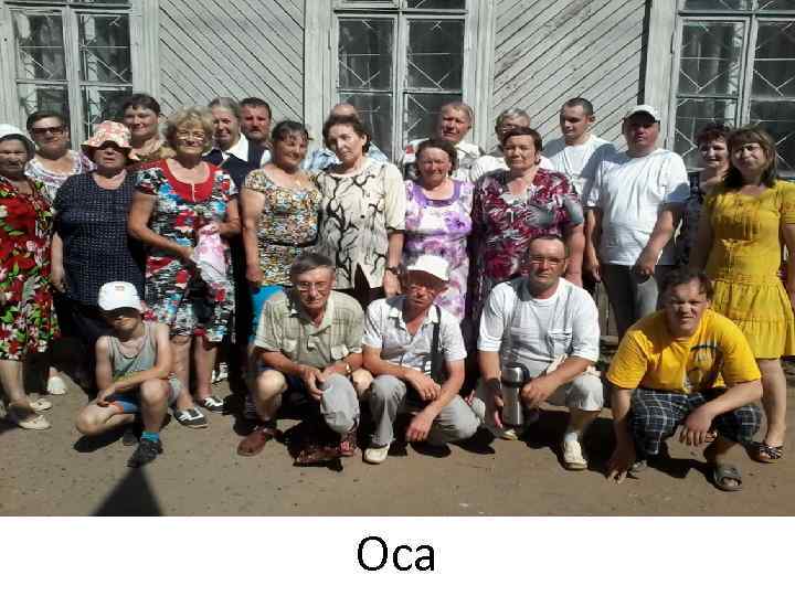 Оса 