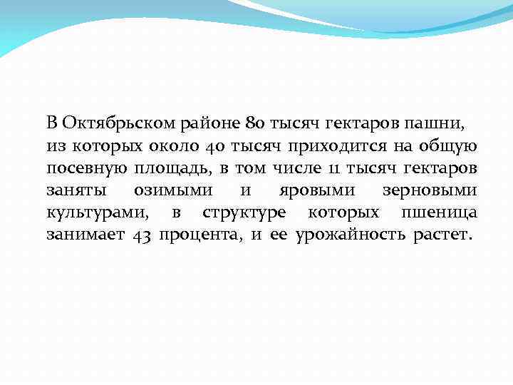 В Октябрьском районе 80 тысяч гектаров пашни, из которых около 40 тысяч приходится на