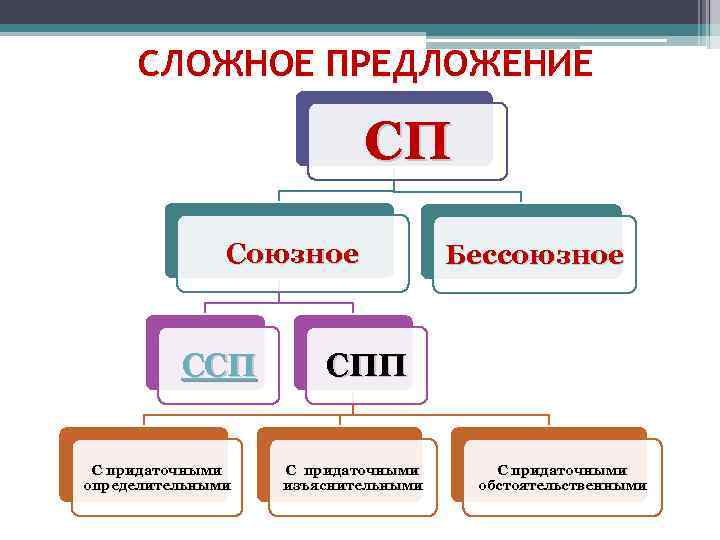 СЛОЖНОЕ ПРЕДЛОЖЕНИЕ СП Союзное ССП С придаточными определительными Бессоюзное СПП С придаточными изъяснительными С