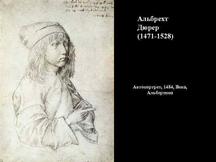 Альбрехт Дюрер (1471 -1528) Автопортрет, 1484, Вена, Альбертина 