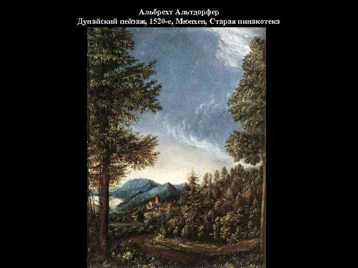 Альбрехт Альтдорфер Дунайский пейзаж, 1520 -е, Мюнхен, Старая пинакотека 