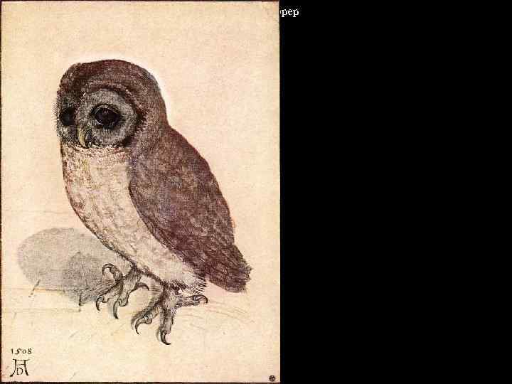 Альбрехт Дюрер 