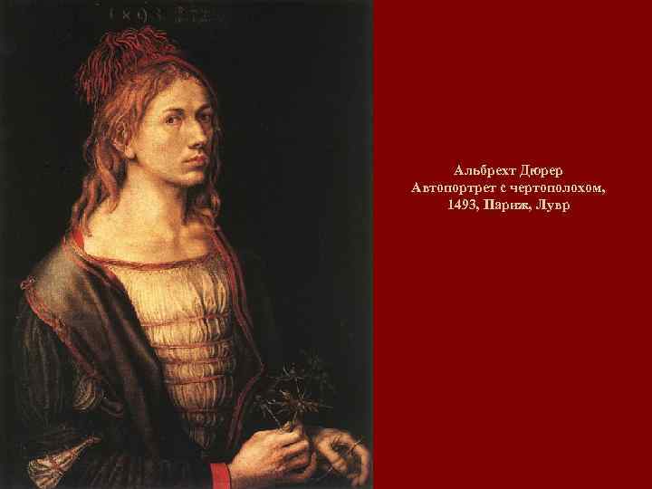 Альбрехт Дюрер Автопортрет с чертополохом, 1493, Париж, Лувр 
