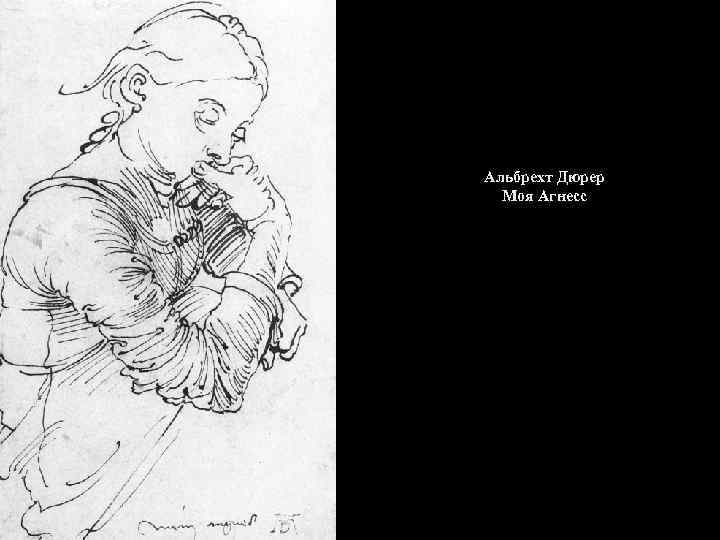 Альбрехт Дюрер Моя Агнесс 
