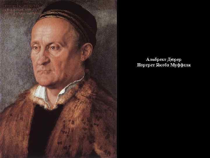 Альбрехт Дюрер Портрет Якоба Муффеля 